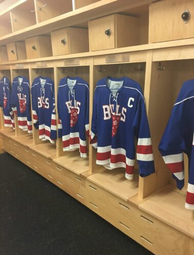 Holderness Bulls