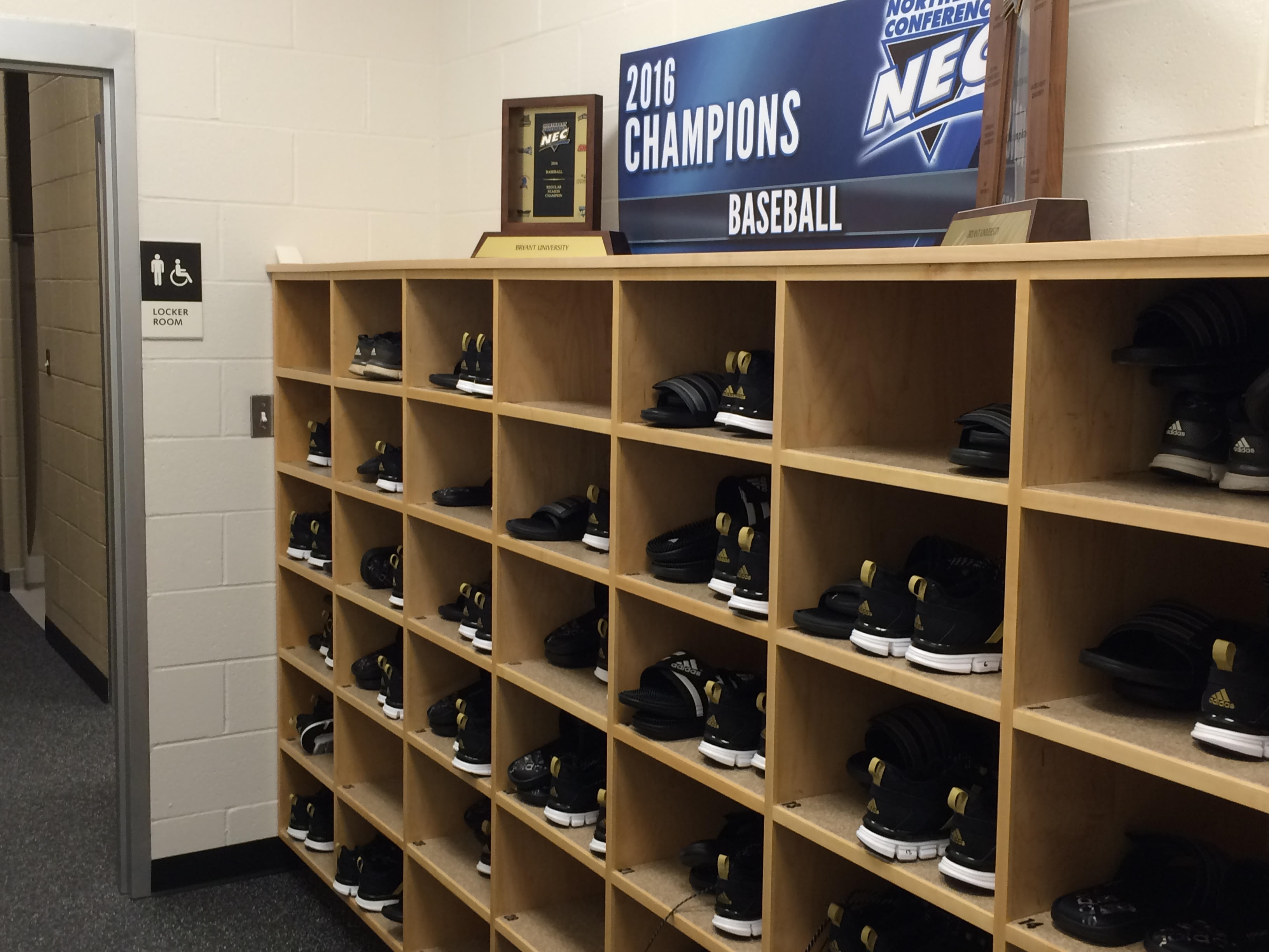 Cubby 1 - Legends Custom Lockers Cubbies