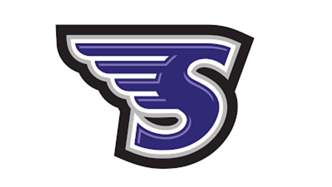 stonehill skyhawks logo