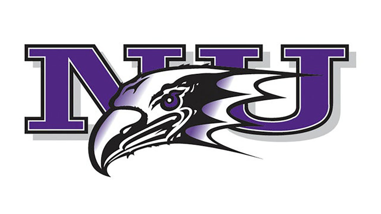 Niagara hockey logo
